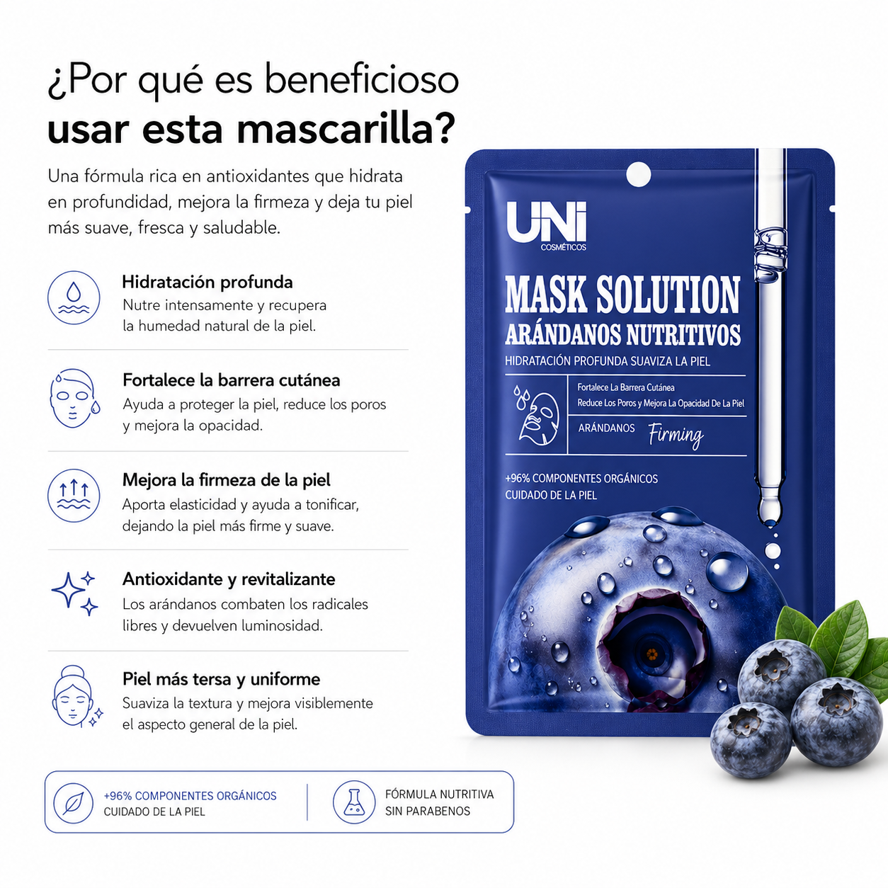 Mascarilla Facial de Arándano – Antioxidante, Iluminadora y Revitalizante